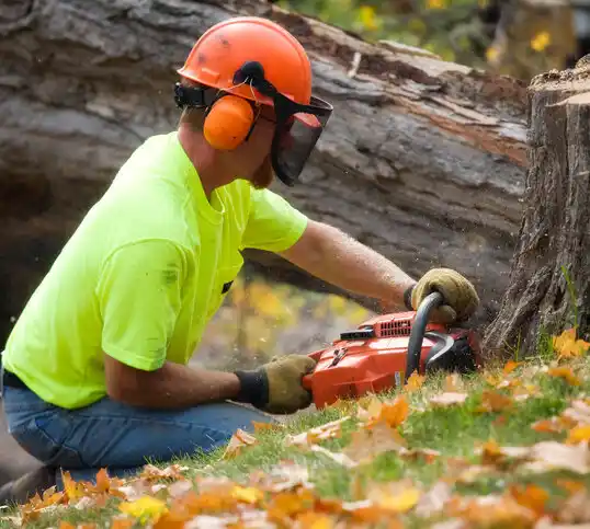 tree services Fullerton